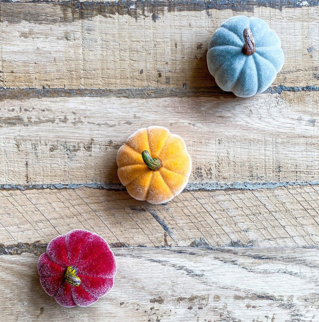 Mini Velvet Pumpkins from the Fall Collection at The Vintage Home Studio, an affordable home decor store in North Wilkesboro, NC.