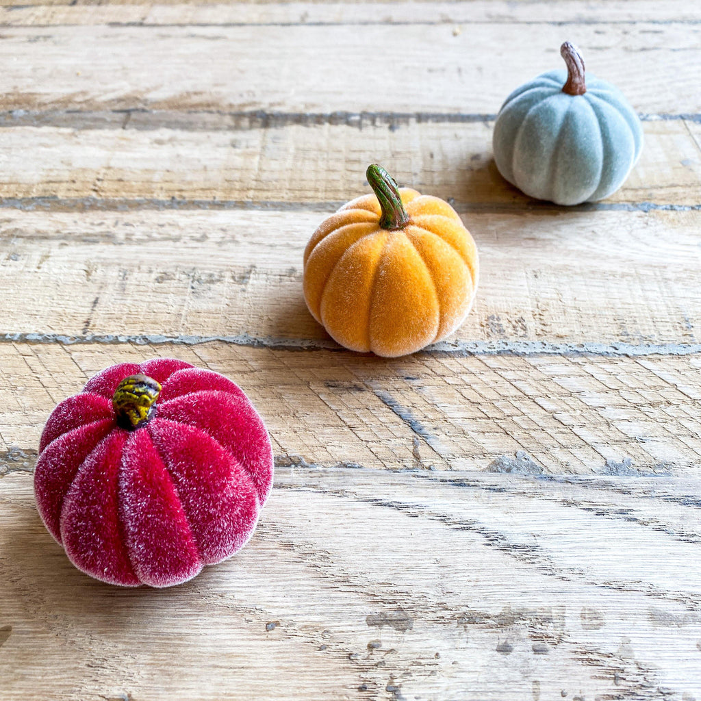 Mini Velvet Pumpkins from the Fall Collection at The Vintage Home Studio, an affordable home decor store in North Wilkesboro, NC.