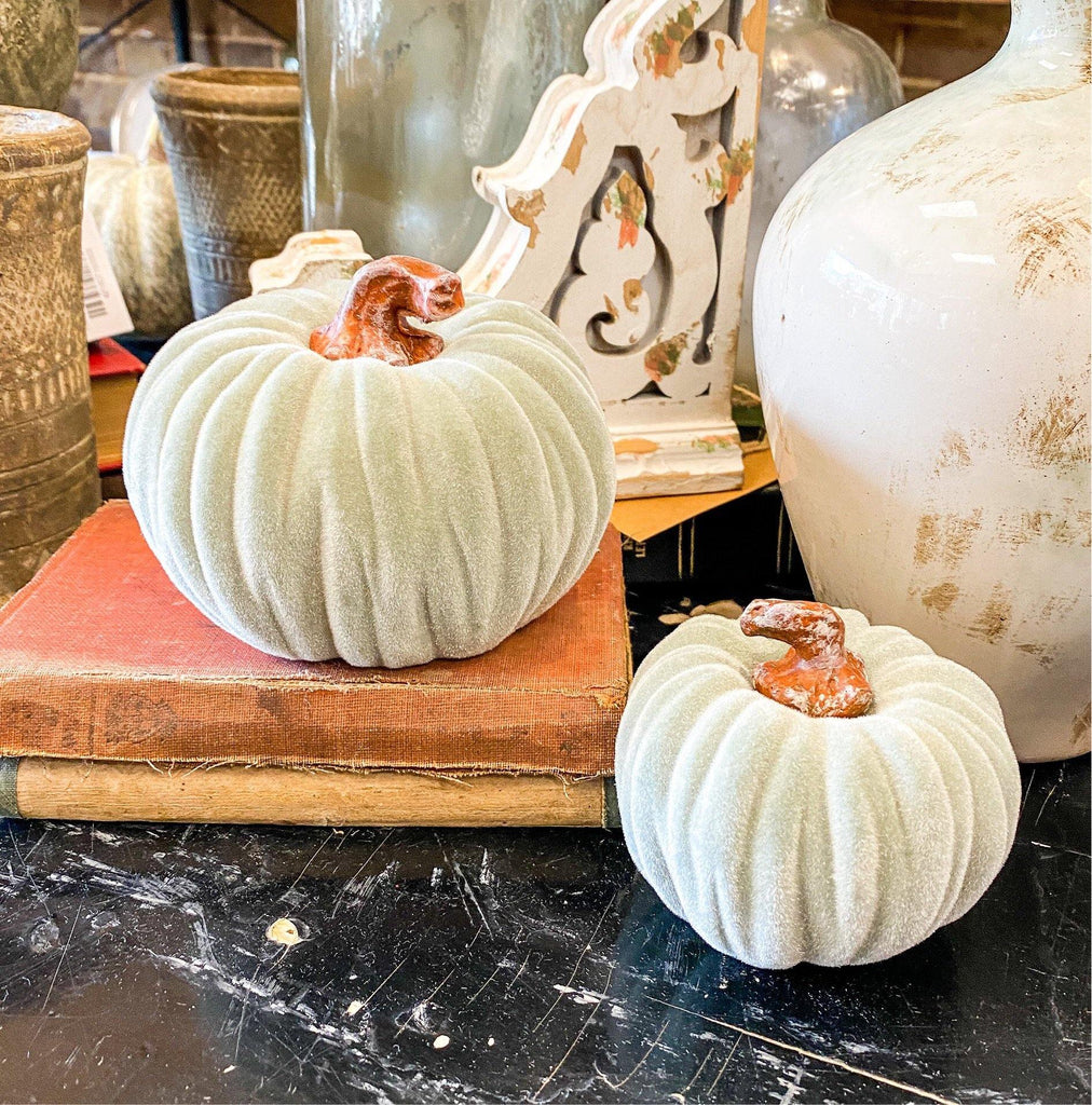 Mini Velvet Pumpkins from the Fall Collection at The Vintage Home Studio, an affordable home decor store in North Wilkesboro, NC.