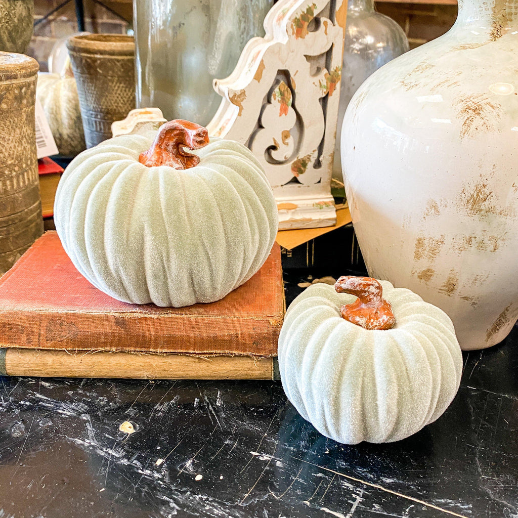 Medium Velvet Pumpkins from the Fall Collection at The Vintage Home Studio, an affordable home decor store in North Wilkesboro, NC.